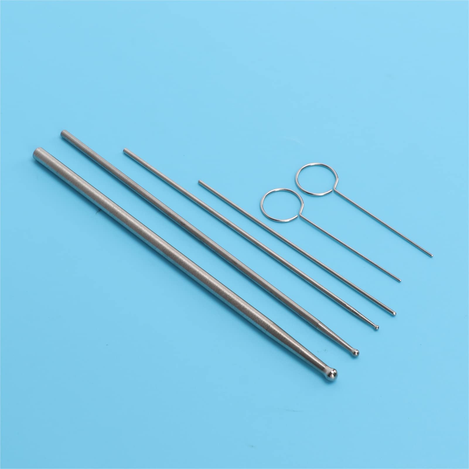 Rettili Forniture per Serpenti, Kit Sonda Serpente 6 Pezzi, Testa Rotonda in Acciaio Inox, Sonda Sessuale Antiallergica, Rilevatore Portatile