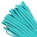 PARACORD PLANET Mil-Spec Commercial Grade 550lb Type III Nylon Paracord 100 feet Turquoise