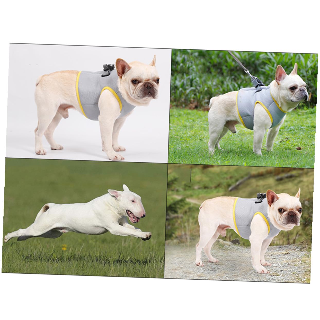 Gilet Refroidissant pour Chien Respirant pour Animaux De Compagnie La Chaleur XL