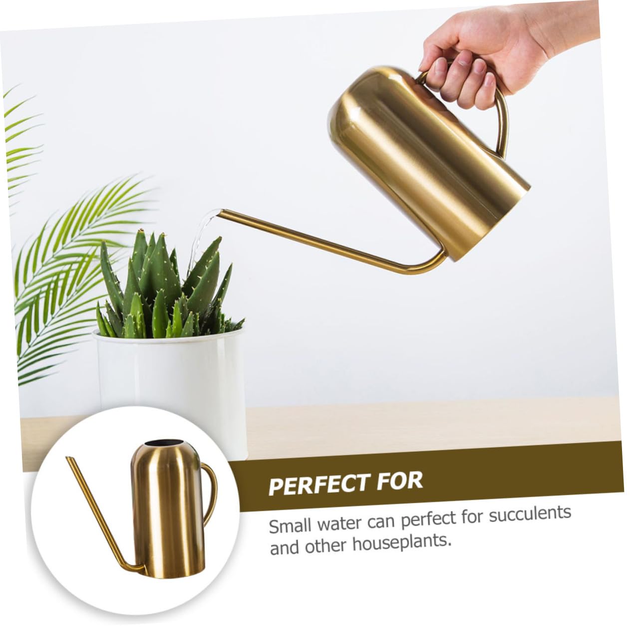 Didiseaon Arrosoir à Long Bec pour Jardin Outil de Jardinage avec Bec Verseur Fluide et Base Épaisse pour Stabilité