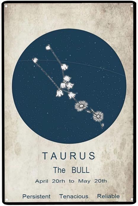 Taurus The Bull Zodiac Metal Sign - Beautiful Spiritual Astrology Decor - Wall Plaque for Home, Office, and Lovers 8