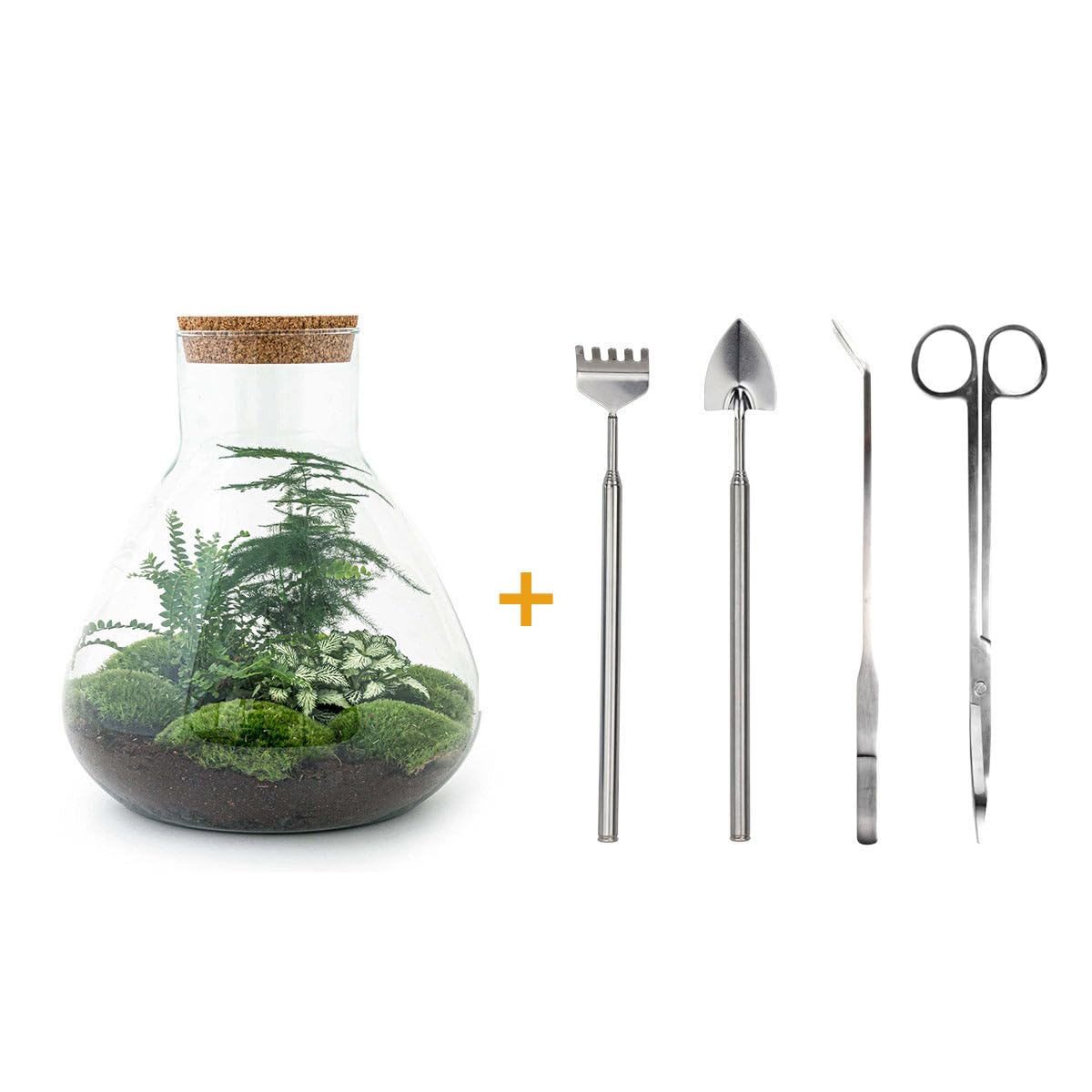 urbanjngl. com - Terrarium DIY Kit - Sam XL - Bottle Garden - 35 cm + RS Amazon No - zestaw "zrób to sam" - roślina w słoiku - kompletny zestaw do terrarium nr