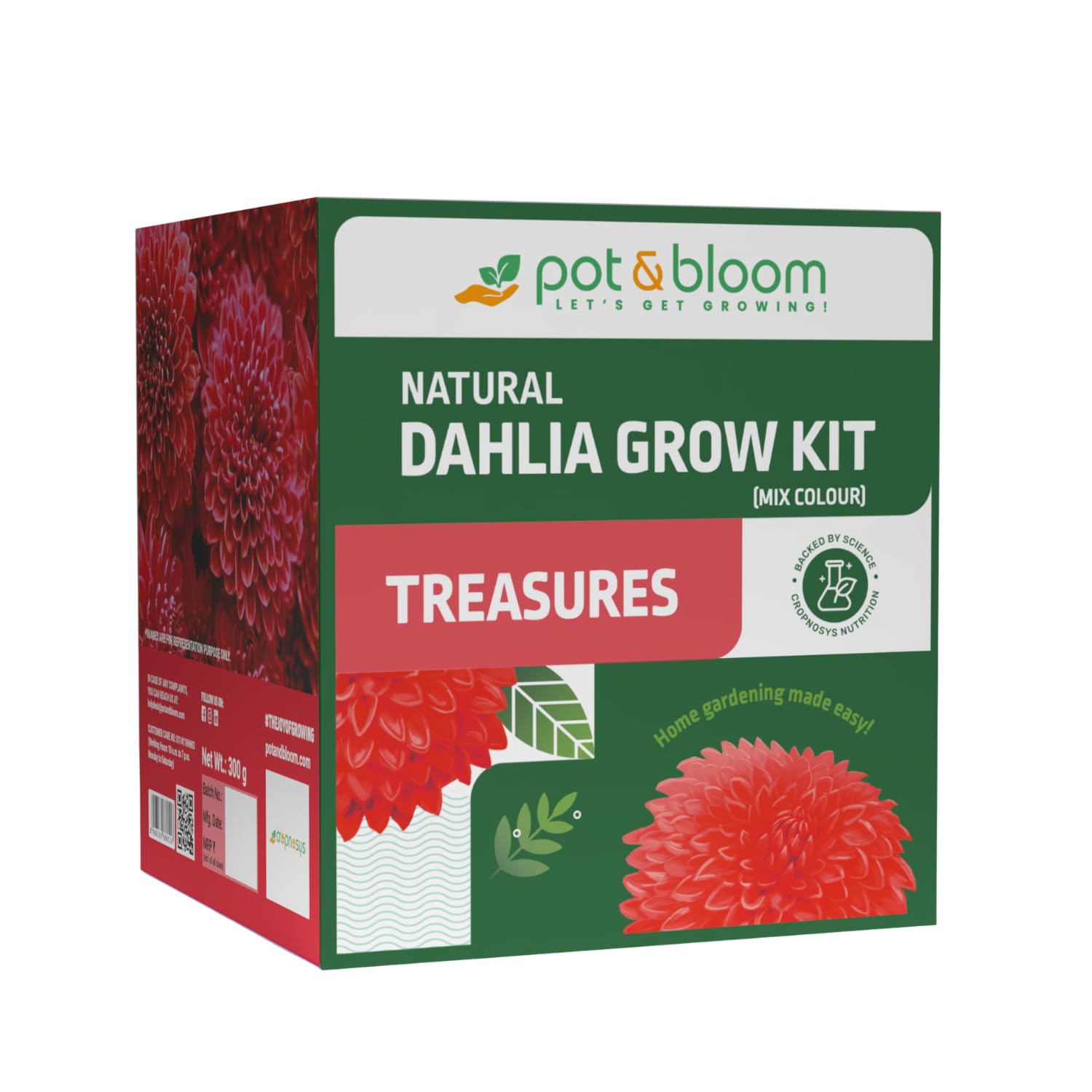 Treasures Dahlia Kit – Complete Gardening Set with Seeds, CocoPot, Plate, Water Spray, Nutrition Powder, Potting Mix, and Instruction Manual for Easy Growing & Harvesting Fresh Dahlia-image-41