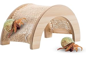 Wooden Hermit Crab Climbing Bridge: An Oasis for Your Tiny Tank Dwellers