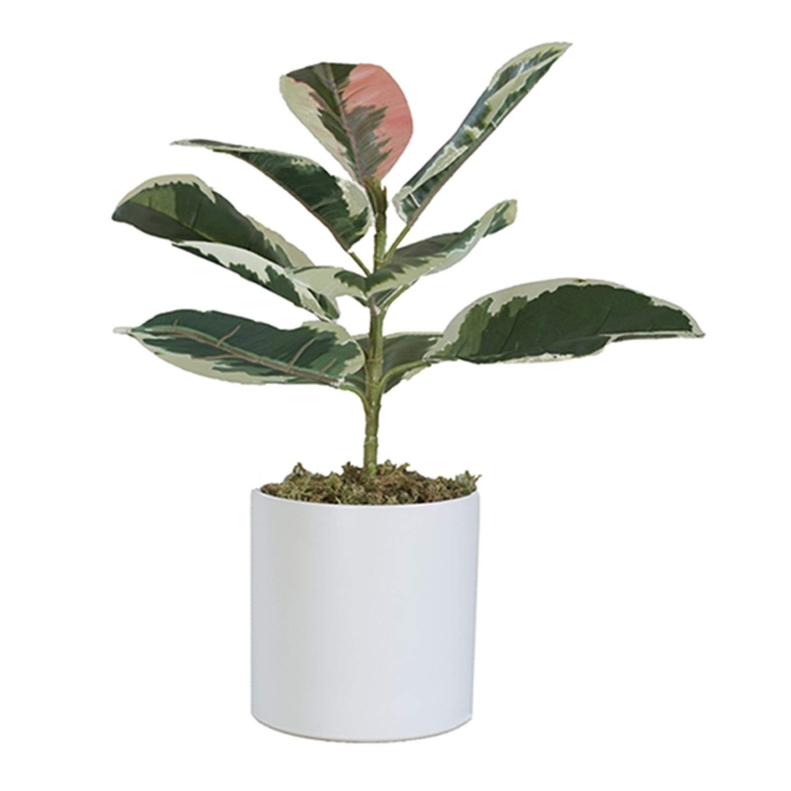 NGDFGR Artificial Potted Plant Decor Artificial Potted Plants 18”Large Fake Plants Artificial Banyan For Home Office Desk Decor Farmhouse Decor