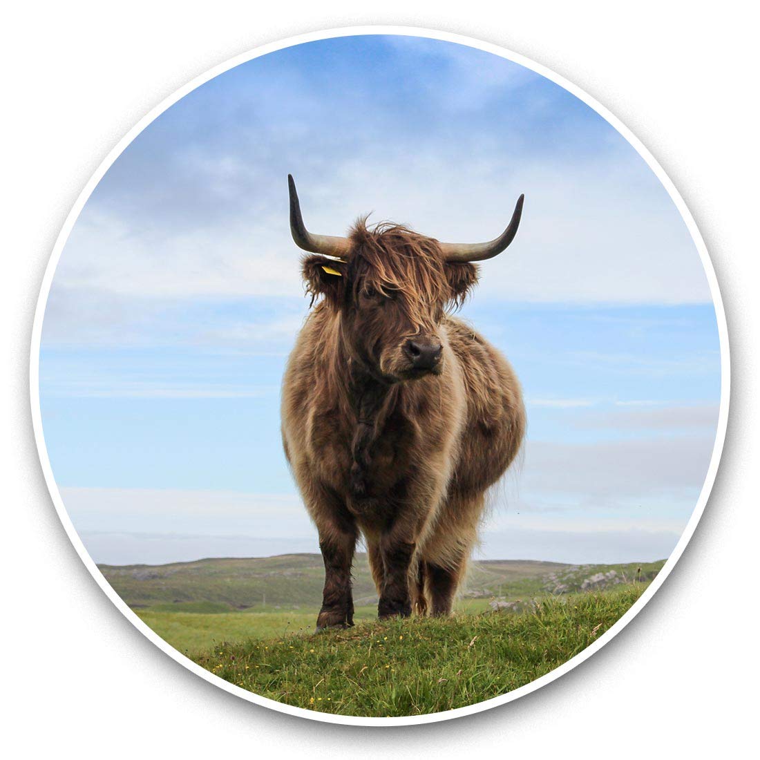 Vinyl Stickers (Set of 2) 7.5cm - Highland Cow Scotland Scottish Laptop Tablet Luggage Scrapbook #45334