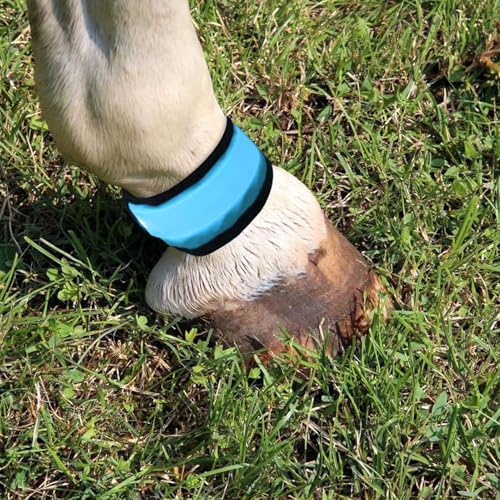 Generisch Pferdebeinbänder - 4 Stück Zubehör Für Tiere Mit Hoher Sichtbarkeit | LED Beleuchtung Pferdeknöchelriemen,Für Das Reiten Bei Nacht, Paraden, Farmen, Ranches, Ställe, Zirkus Und