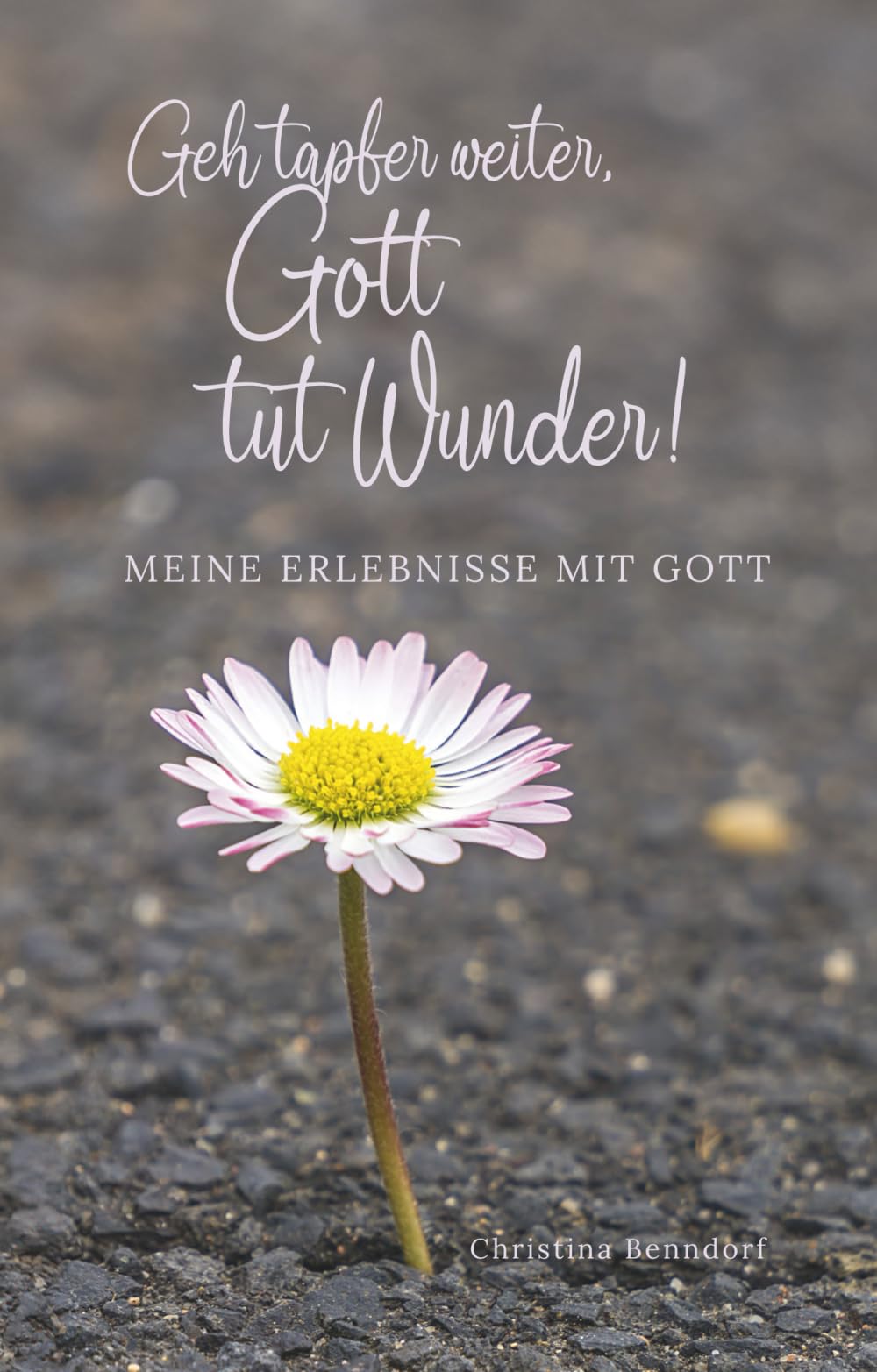 Geh tapfer weiter, Gott tut Wunder!: Meine Erlebnisse mit Gott