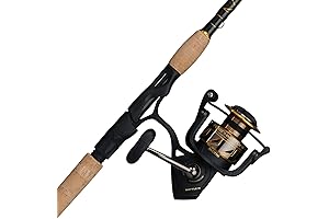 Battle IV Spinning Reel and Fishing Rod Combo, Penn Fishing Rods