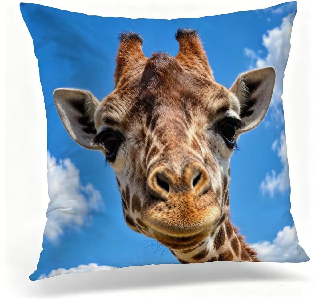 Coussin canape 55 x 55 au style girafe bleu outdoor pour une terrasse cosy