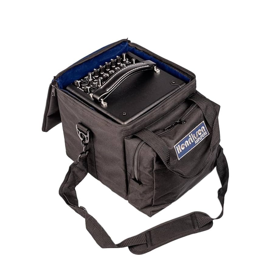 Amazon.co.jp: Henriksen Amplifiers The Bud SIX 6インチ