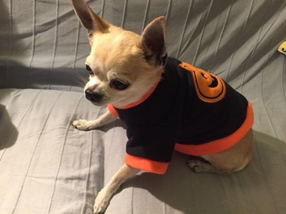 Pet Clothes Costumes for Small Dogs Cats Cute Winter Coat Navy Blue/Orange Outfit