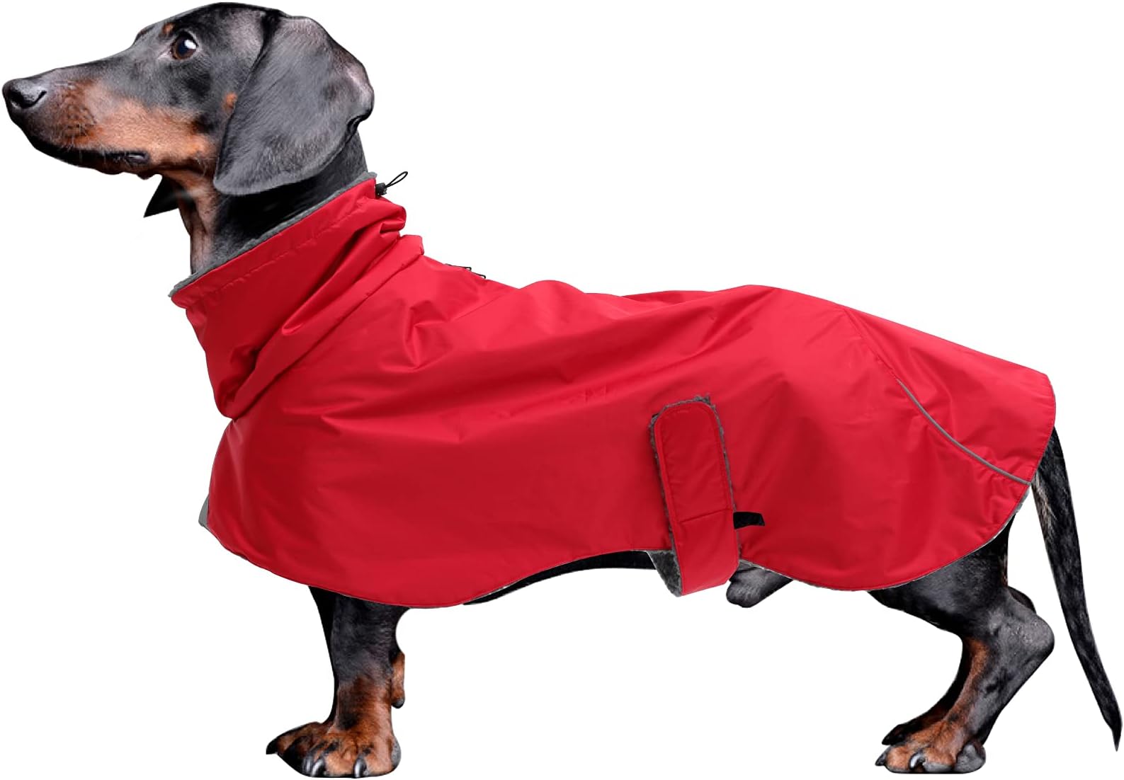 Dog Coats Waterproof, Perfect for Dachshund, Sausage, Dog Winter Coat with Padded Fleece Lining, Outdoor Dog Jumper with Adjustable Bands and High Vis Reflective Trim - Red - L