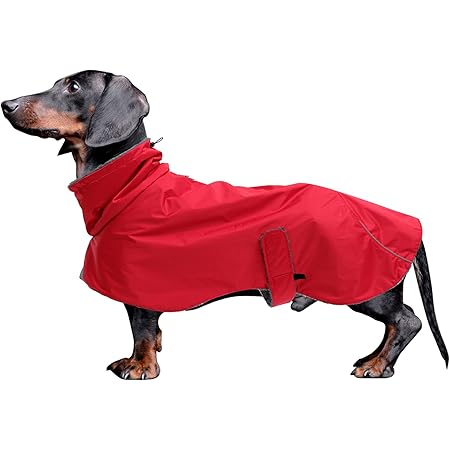 dachshund fleece coat