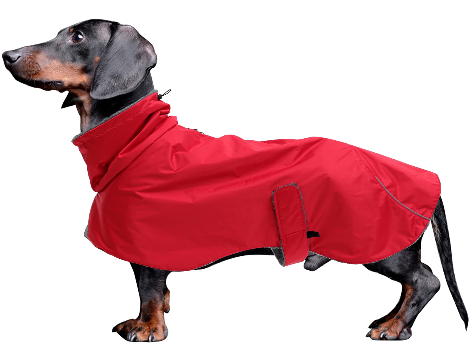 Dog Coats Waterproof, Perfect for Dachshund, Sausage, Dog Winter Coat with Padded Fleece Lining, Outdoor Dog Jumper with Adjustable Bands and High Vis Reflective Trim - Red - L