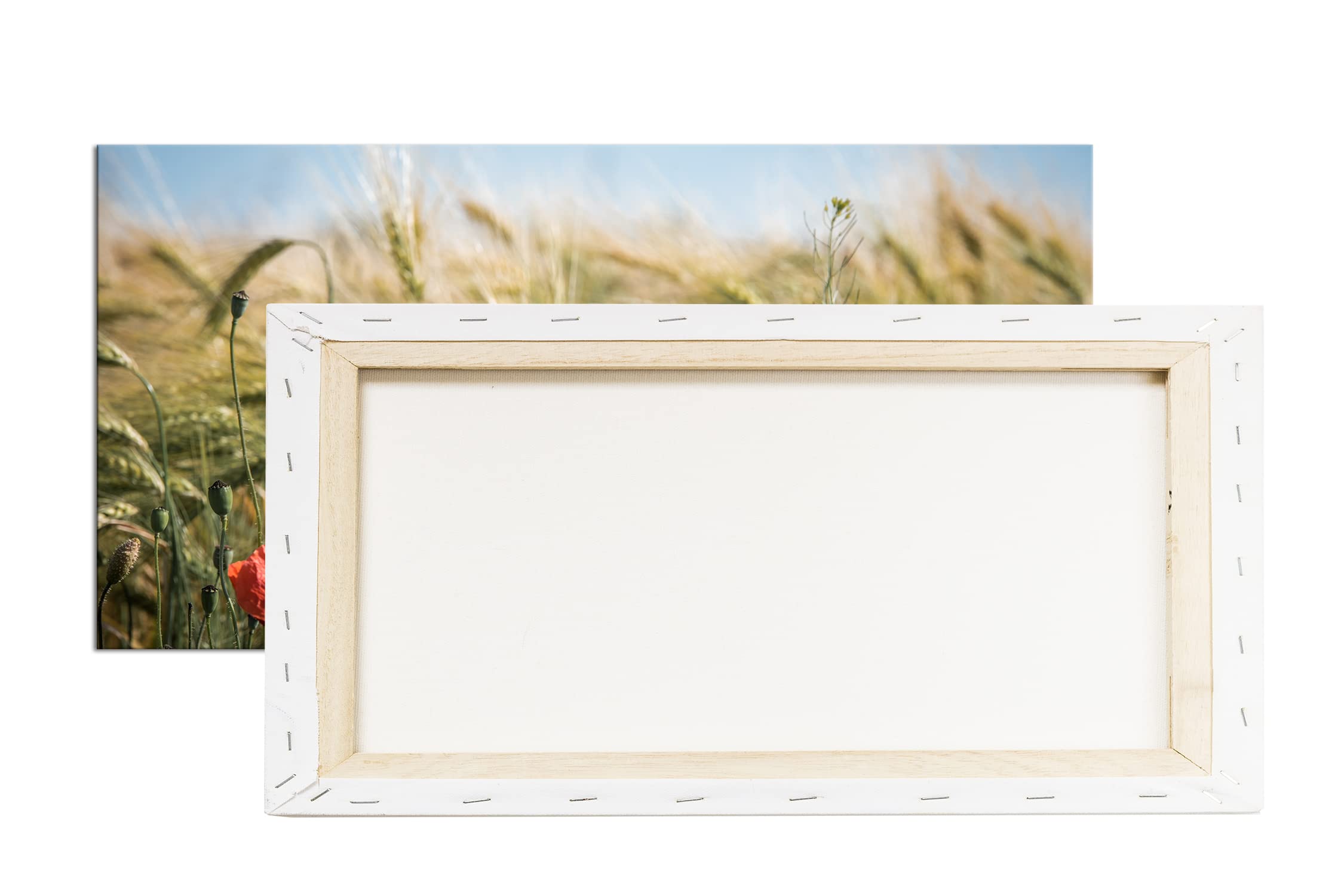 Leinwandbild Zarte Mohnblumen im Getreidefeld – Poesie der Natur Panorama Format: 120x60 cm XXL Kunstdruck Bild auf Keilrahmen/Wandbild/Wohnzimmer Deko