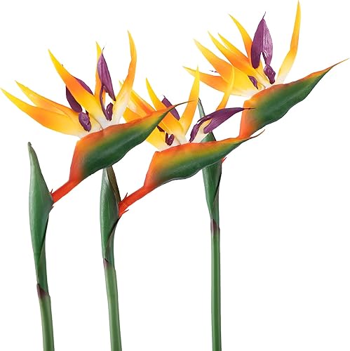 Bird of Paradise Flores artificiales Strelitzia de goma de 32 pulgadas de tallo largo, 3 unidades, adecuadas para decoración del hogar, exhibición