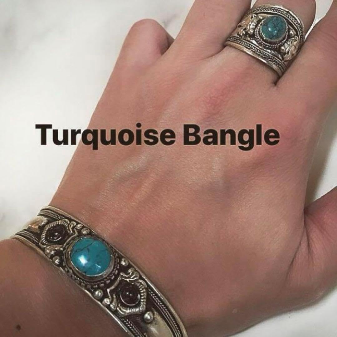 現地球 発根済み サイカス sp 陶器鉢のまま発送 ドライガーデン