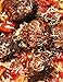 Impossible™ Meatballs Meat From Plants, Homestyle, Frozen, 14 oz