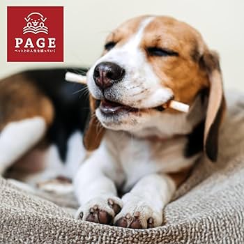 犬おやつ サンライズ ゴン太のほねっこ L ゴン太 ほねっこ ガム 犬のおやつ Amazon | ゴン太のほねっこ Mサイズ 340g 犬用おやつ 340グラム