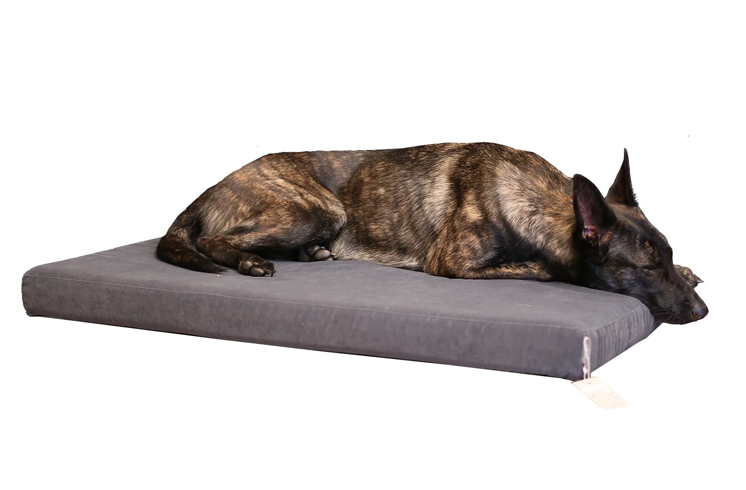 Arya Serisi Ortopedik Premium Kedi ve Köpek Yatağı 80x60 cm