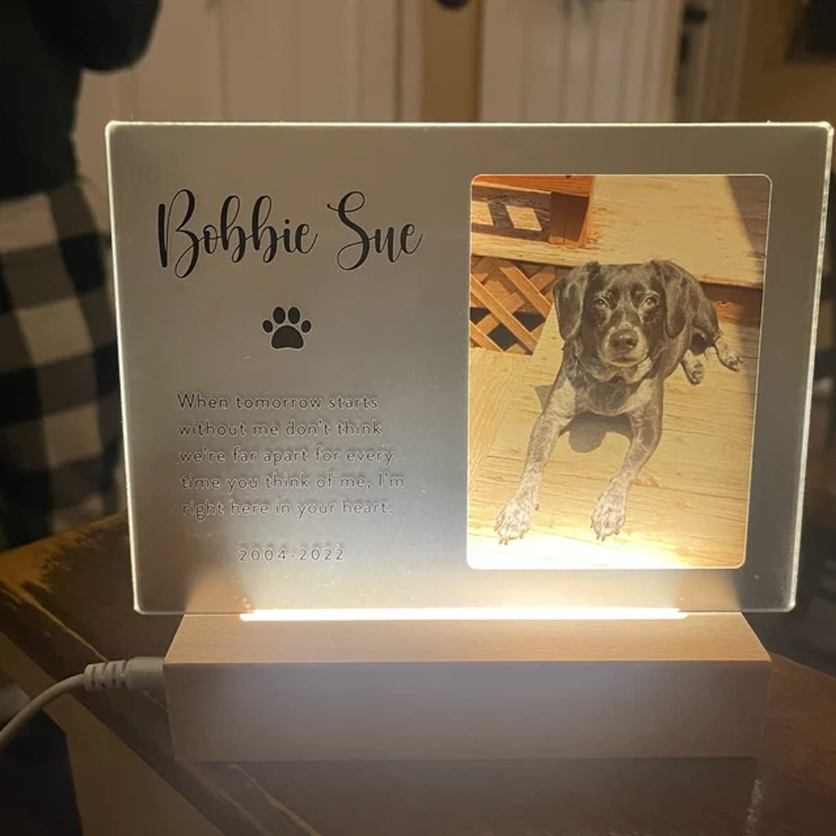 QASHWEY Gedenktafel Für Hunde & Katzen – Holzschild 10,2x10,2 Cm, Als Erinnerung An Verstorbene Haustiere