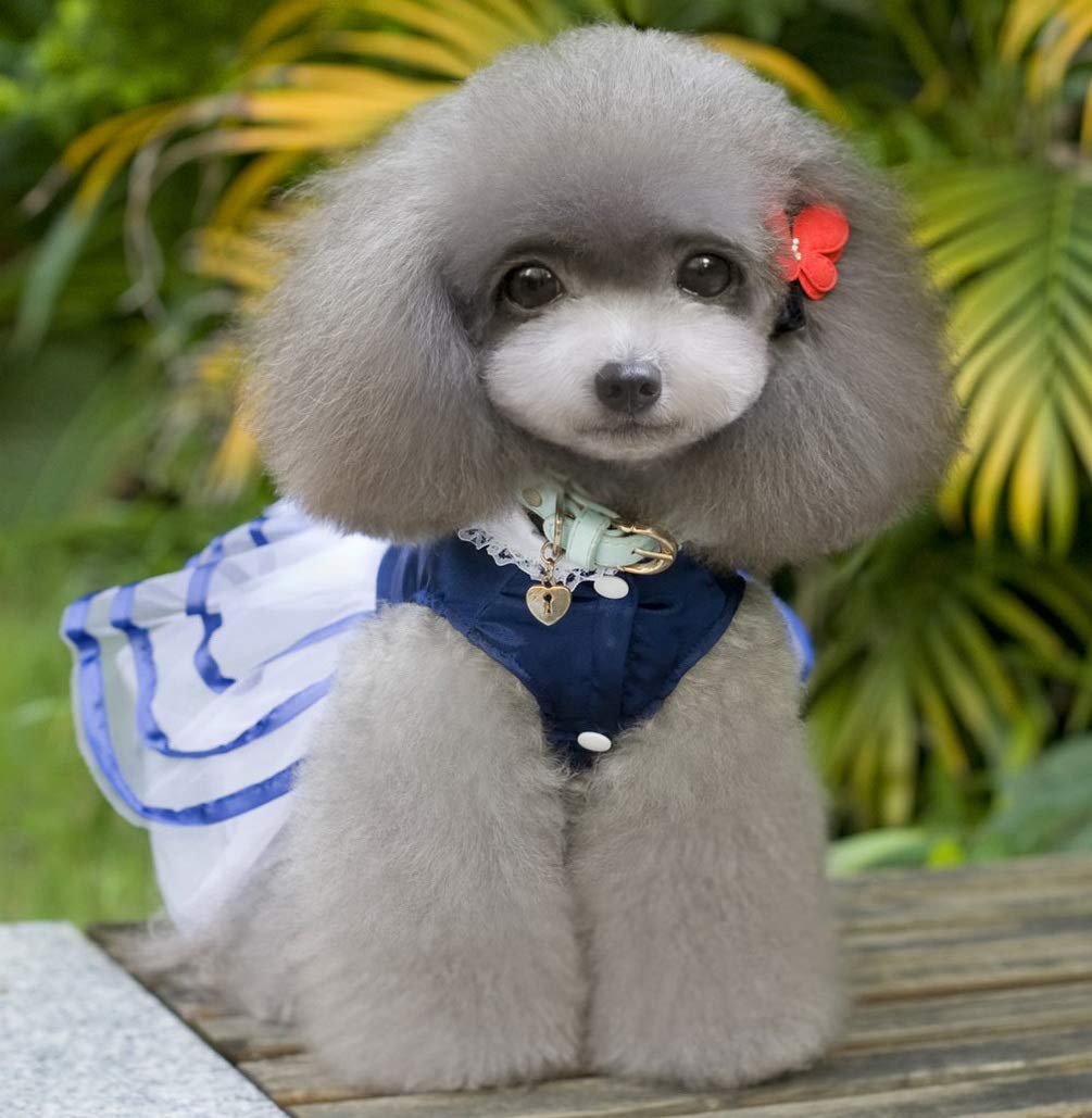 Vestito da principessa a righe per cani di piccola taglia in raso, taglia XL, blu