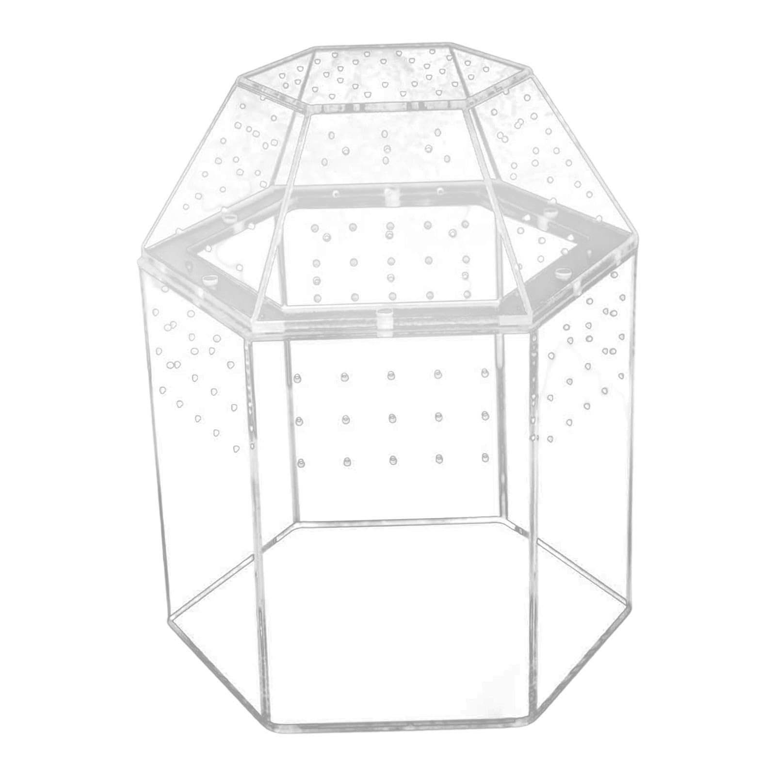 Qianly Terrario para Reptiles con Ventilación para Jaulas de Arañas Saltarinas Y Religiosas.
