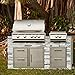 Blaze Gas Grill | 32-inch Built-in Natural Gas Grill | 4 Burner BBQ | Premium Outdoor Kitchen Grilling Experience | Best in Class Warranty | LTE+ | BLZ-4LTE3-NG, Stainless Steel