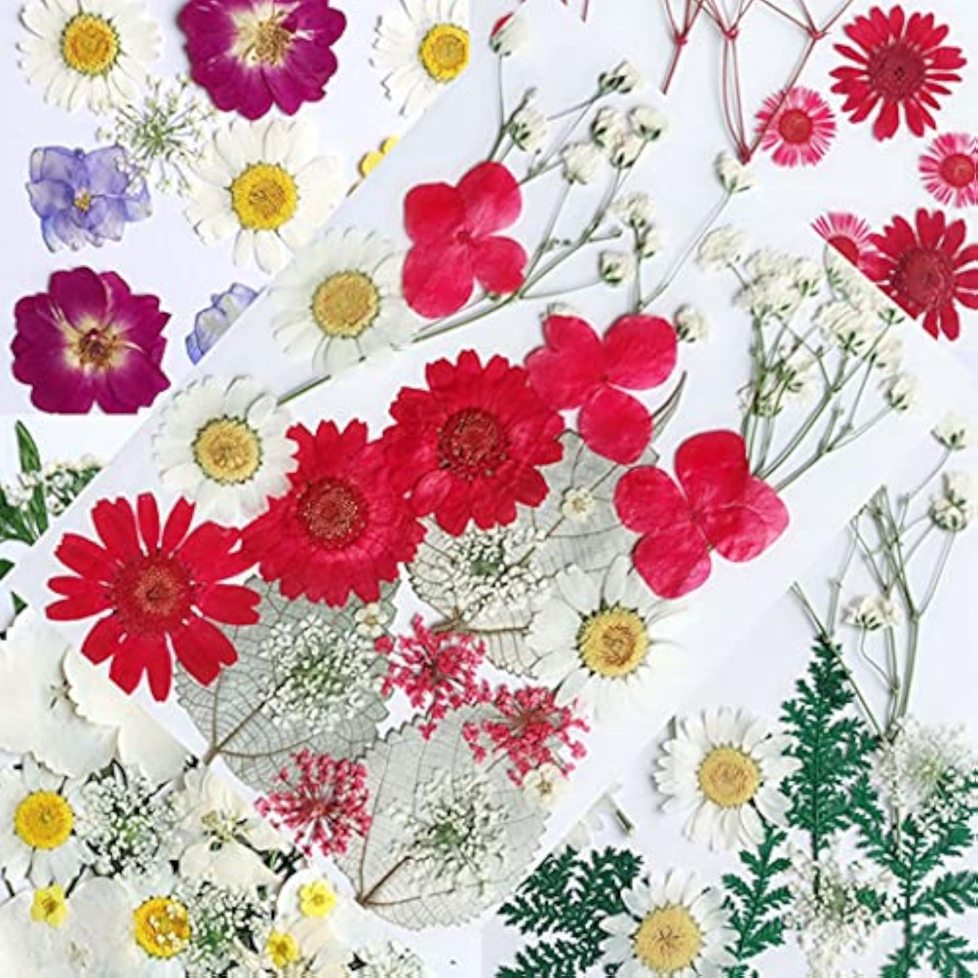 Colorful Assorted Handmade Nature Dry Flower Pressed Flower Bookmark