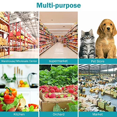 440Lbs Shipping Scale Digital Heavy Duty Postal Scale, Multi-Function 15"X 12" Large Platform Scale, Accurate Stainless Steel Industrial Scale For Packages/Post Office/Luggage/Home/Market #TOP5