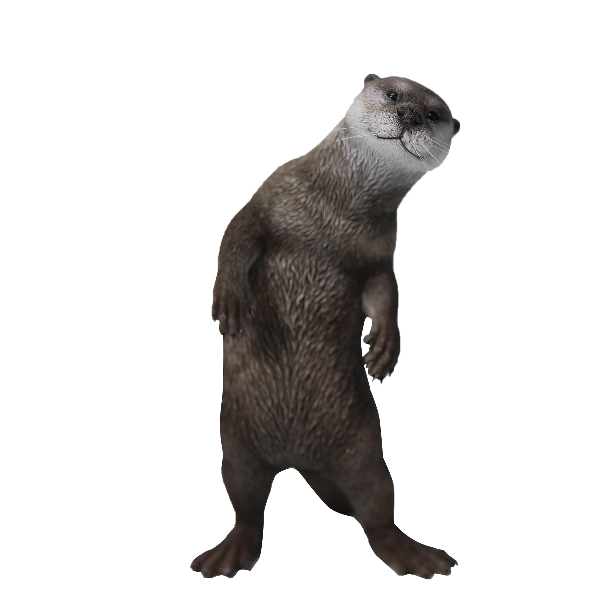 Statue de loutre de rivière idée cadeau anniversaire pour homme et père passionné de faune