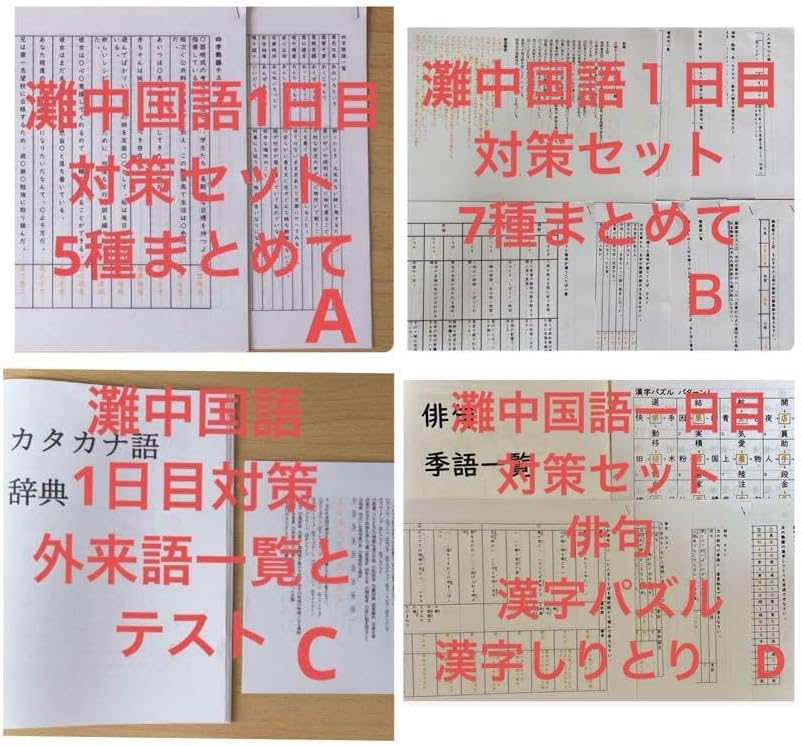 灘中国語1日目対策 ABCDプリント 国語知識12種外来語俳句