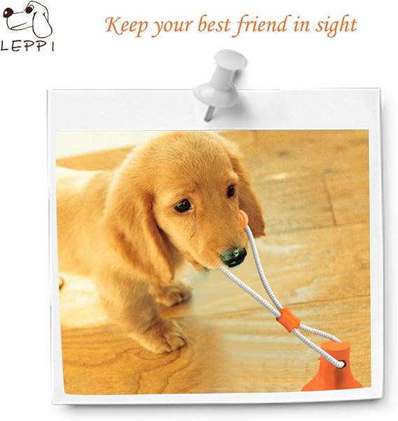 interactive dog toy with suction cup