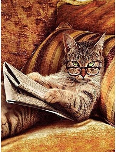 Hshing Chat Avec Des Lunettes En Lisant Le Journal 5d Broderies Peintures Bricolage Peinture Arts Craft Tableau Fournitures La Maison Decoration Murale Peintures Strass 30 40cm Amazon Fr Cuisine Et Maison