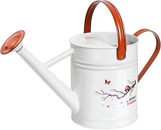 Sponsored Ad - WEQUALITY Watering Can for Outdoor Plants，1 Gallon Metal Plant Watering Can with Cute Pattern，Galvanized St...
