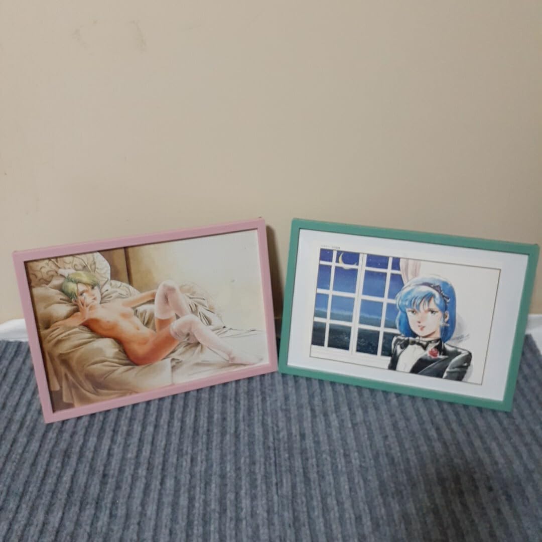 Amazon.co.jp: フォウ ムラサメ B5額装 Newtype ポスター