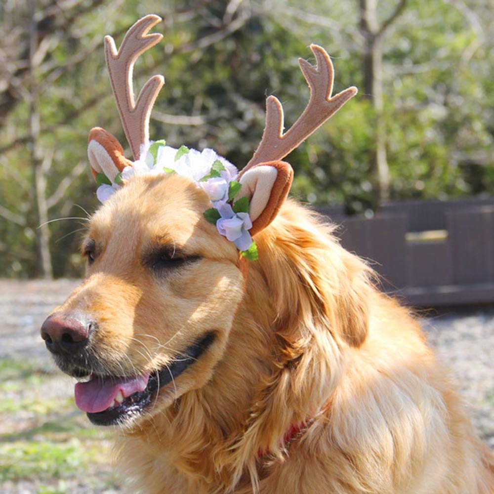 Haustier-Haarband Mit Rentier-Geweih – Für Hunde & Katzen (Größe M, 22 Cm) – Perfekt Für Weihnachten & Partys