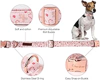 Vista 168 de Unique Style Paws - Collar rosa con hebilla de metal, duradero y lindo para perros pequeños a grandes