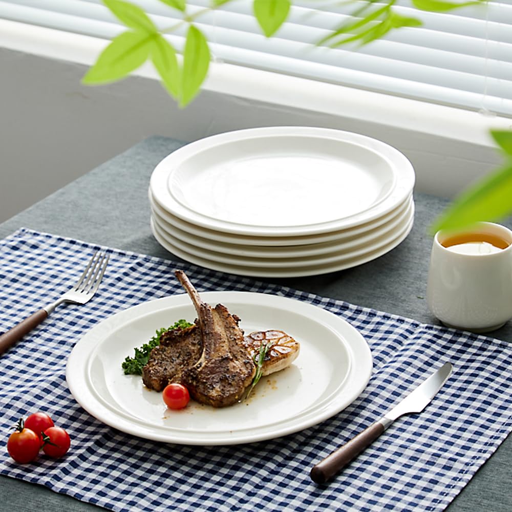 Amazon.com | 10.5-inch Porcelain Dinner Plate Set of 6 - Microwave