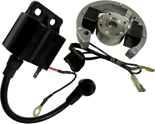 Kit de rotor de estator de bobina de encendido 600-700OHM para KTM 50 SX Pro Senior Junior LC 2001 2002 2003 2004 2005 OEM para estator de volante