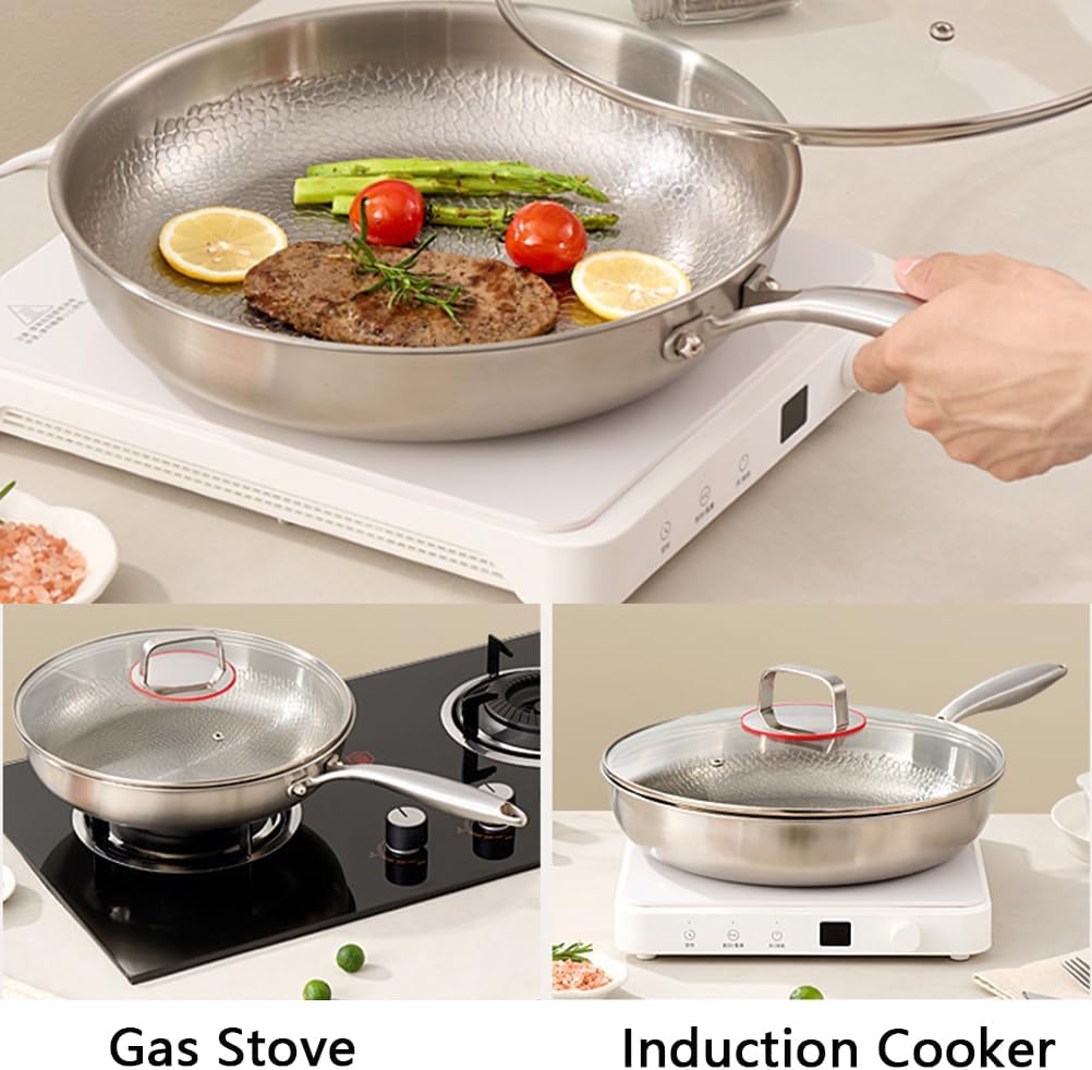 Titanium Pro Pan,Pure Titanium Hammered Pan,Titaniums Frying Pans Nonstick for Cooking No-Coating Nonstick Technology (No lid,10.23 in)