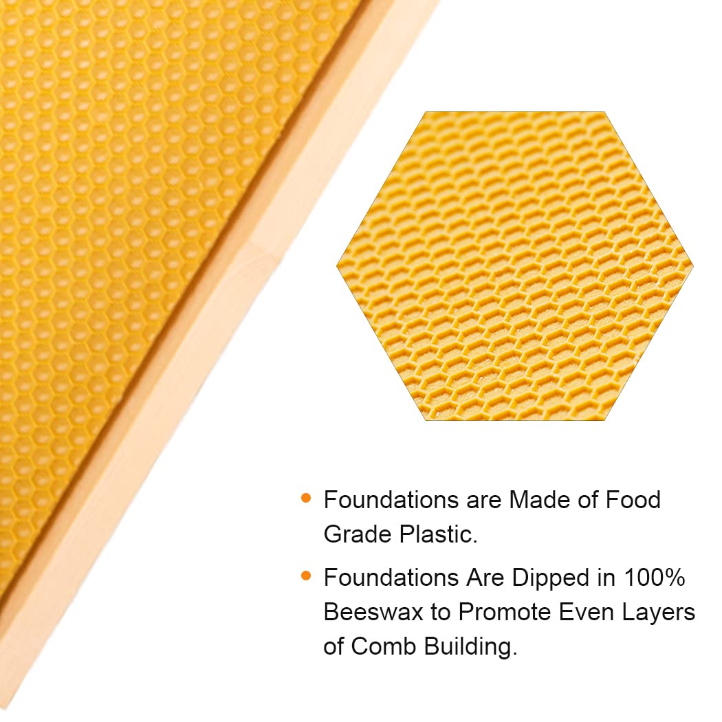 MayBee Medium Super Beehive Frames with Wax Foundations, 10 Pack Honey Bee Frames with 100% Beeswax Coated Food Grade Foundation Sheets, 6-1/4-Inch (Yellow) - Image 2