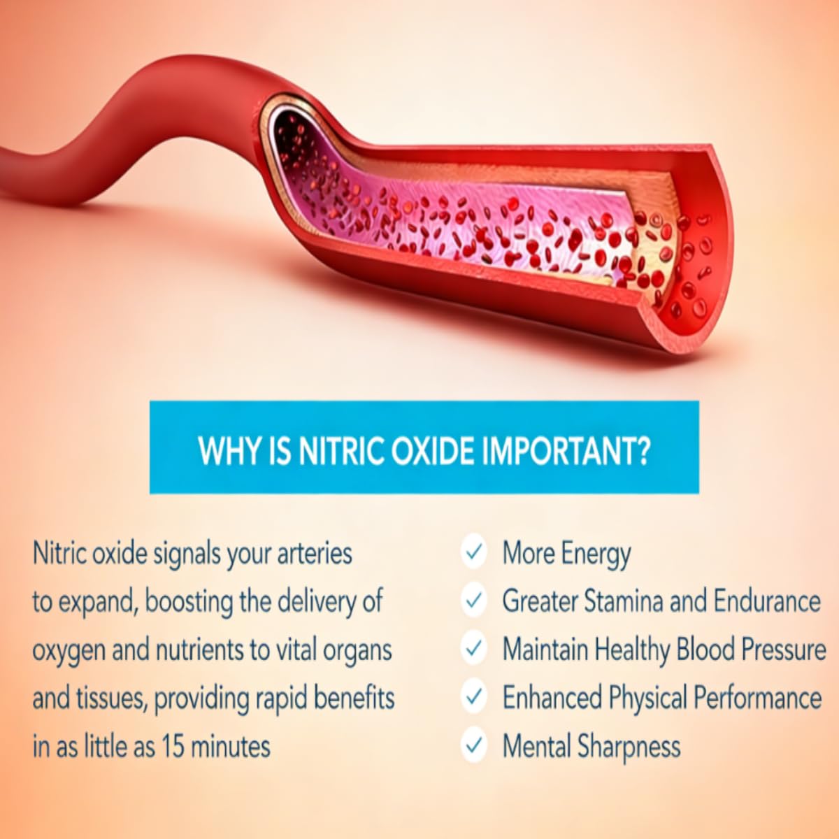 Ossido nitrico: migliora la lucidità mentale, migliora l'umore, aumenta l'efficienza metabolica e favorisce la circolazione sanguigna