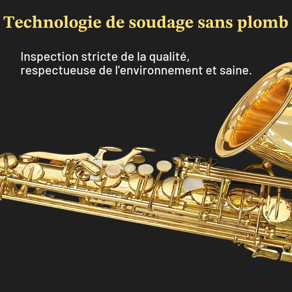 Saxophone alto débutant pour adultes et étudiants, saxophone Eb professionnel en laiton, étui, embouchure, anches, gants, chiffon de nettoyage et brosse (doré)