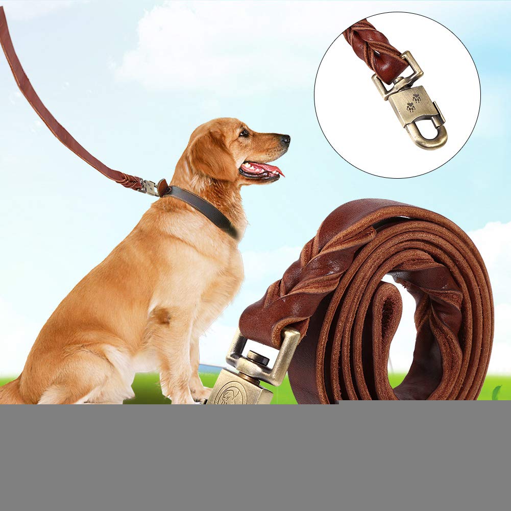 Guinzaglio in pelle morbida per cani, 2,5 cm (2,5 x 120 cm)