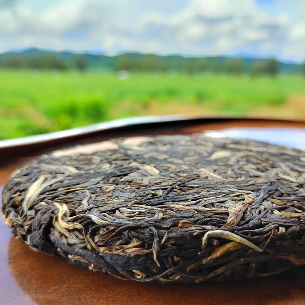 Té De Árbol Antiguo Tianmenshan, 200g Yiwu Gaogan Té Pu 'er Crudo, Esencia De Árboles Milenarios De Yunnan