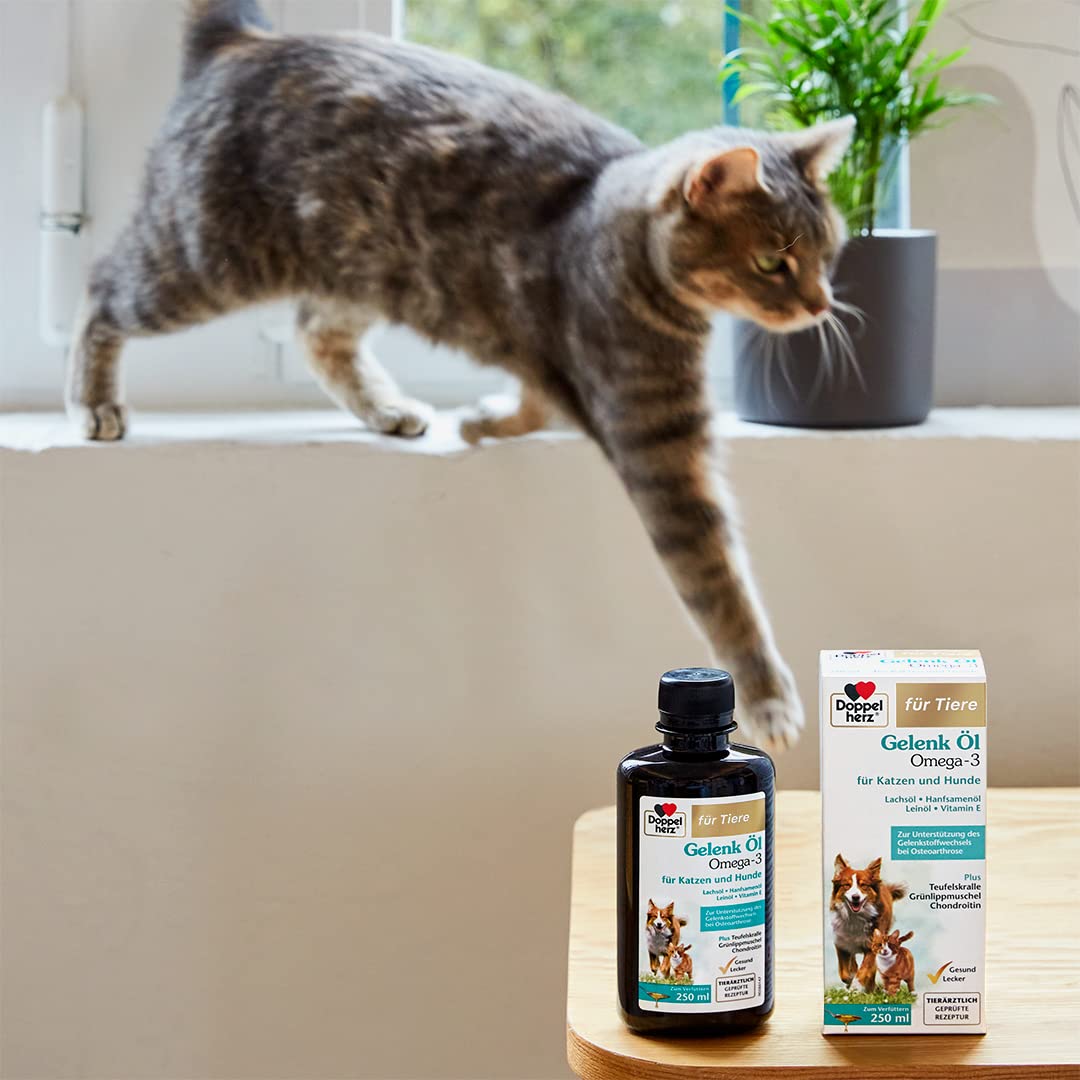 Doppelherz Huile pour articulations pour Chats et Chiens - avec acides Gras Essentiels oméga-3 + chondroïtine - 250 ML