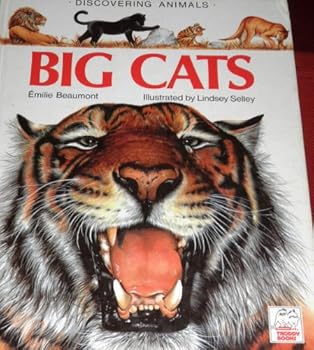 Paperback Discovering Animals: Big Cats Book