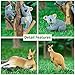 Toymany 7PCS Australian Wildlife Animal Figurines Includes Koala and Kangaroo Figure Toy, Plastic Forest Animal Figures Toy Set, Cake Toppers Christmas Birthday Gift for Kids Toddlers